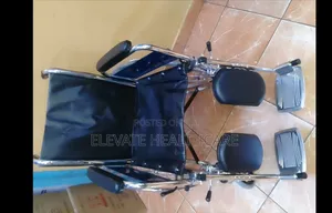 Special Needs Wheelchair