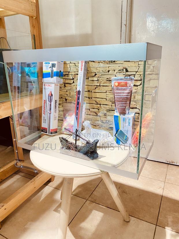 Delight Your Kids With a Colorful Fish Aquarium - main view