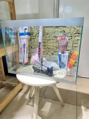 Complete Aquarium Kit – Delivered to Your Door