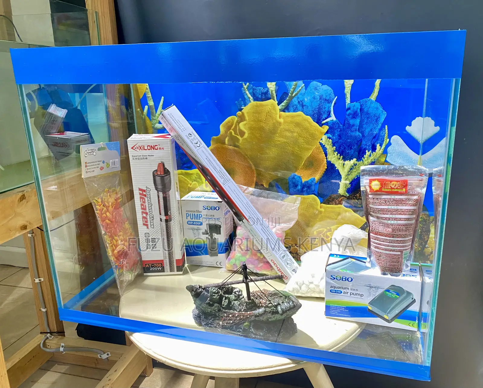 Add Joy to Your Space With a 2ft Aquarium