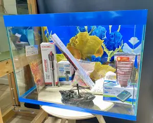 Add Joy to Your Space With a 2ft Aquarium