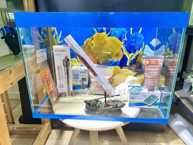 Create Tranquility at Home or Office Aquarium - main view