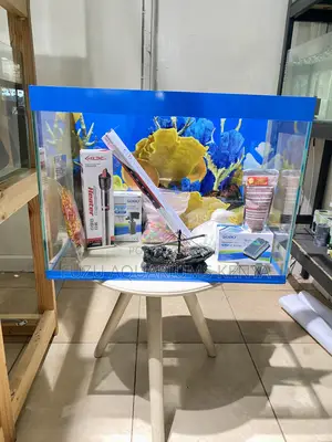 Instant Wow Factor – Aquarium Setup Deal