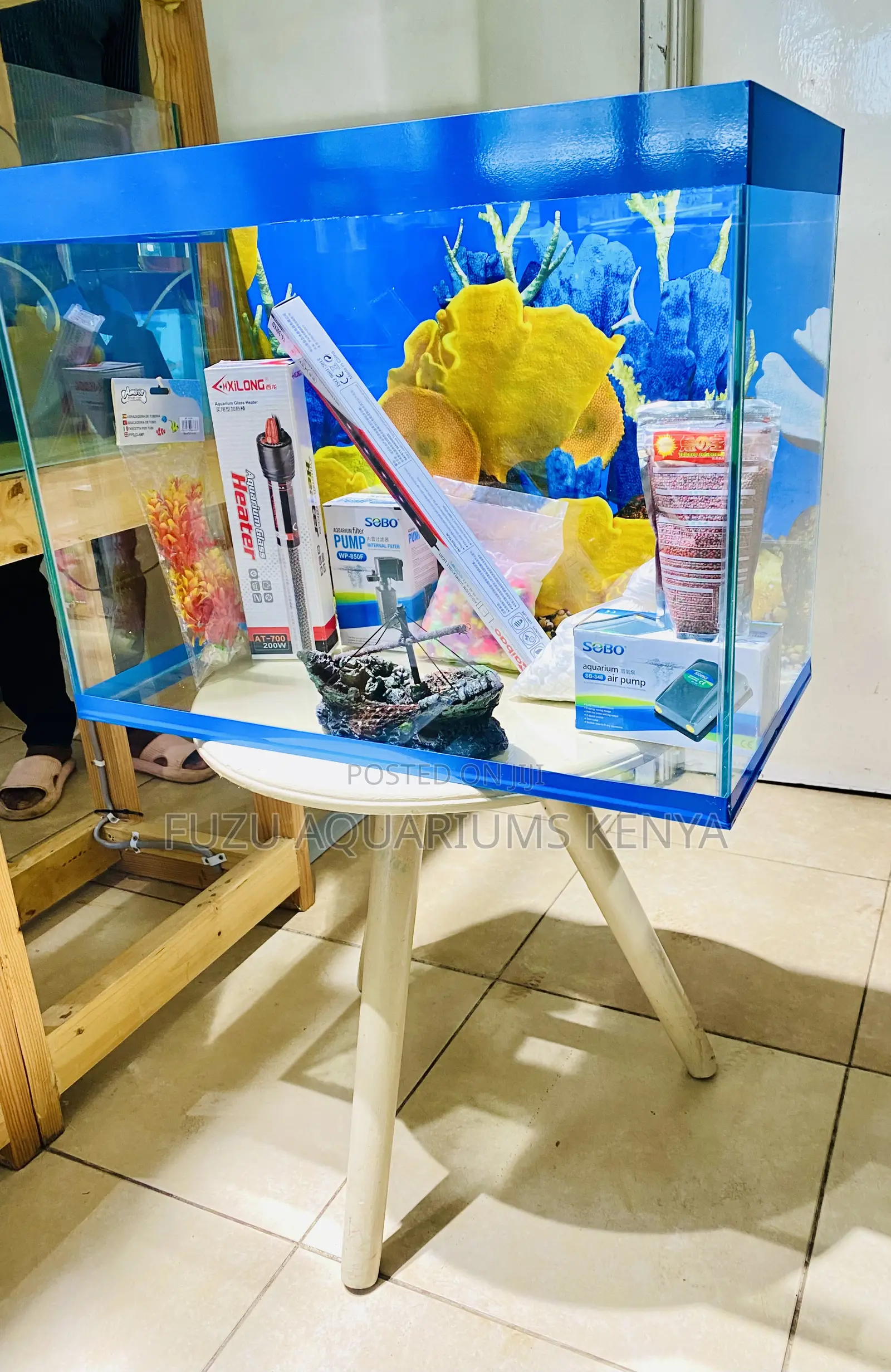 Small but Stunning – 2ft Aquarium