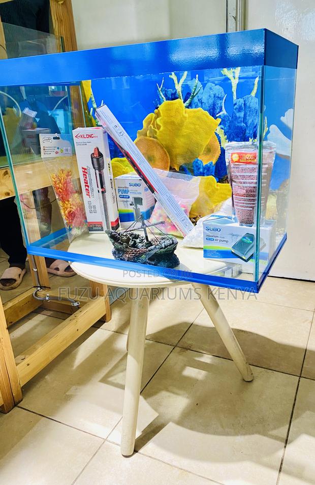 Small but Stunning – 2ft Aquarium - main view