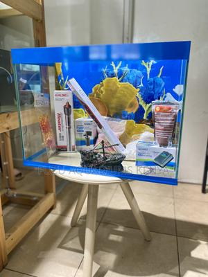 Peaceful Pretty – Complete Aquarium Kit - thumbnail 2