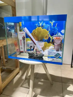 Peaceful Pretty – Complete Aquarium Kit