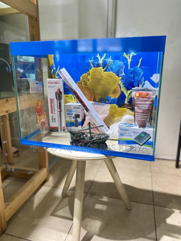 Peaceful Pretty – Complete Aquarium Kit - main view