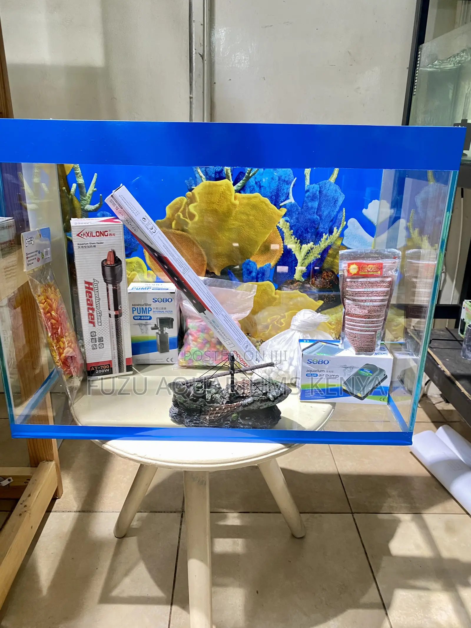 Your Daily Dose of Calm in 60 Litres Aquarium