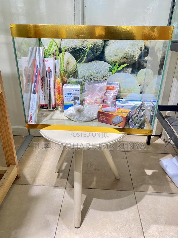 Decorate With Life – Aquarium Essentials Included