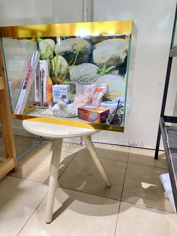 Aquarium Kit That Fits Anywhere Perfectly - main view