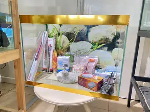 Start Your Fishkeeping Journey Today Fuzu Aquariums
