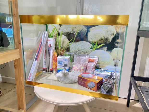Start Your Fishkeeping Journey Today Fuzu Aquariums