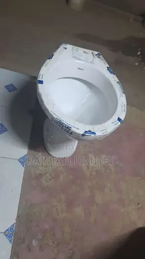 P Trap Toilets