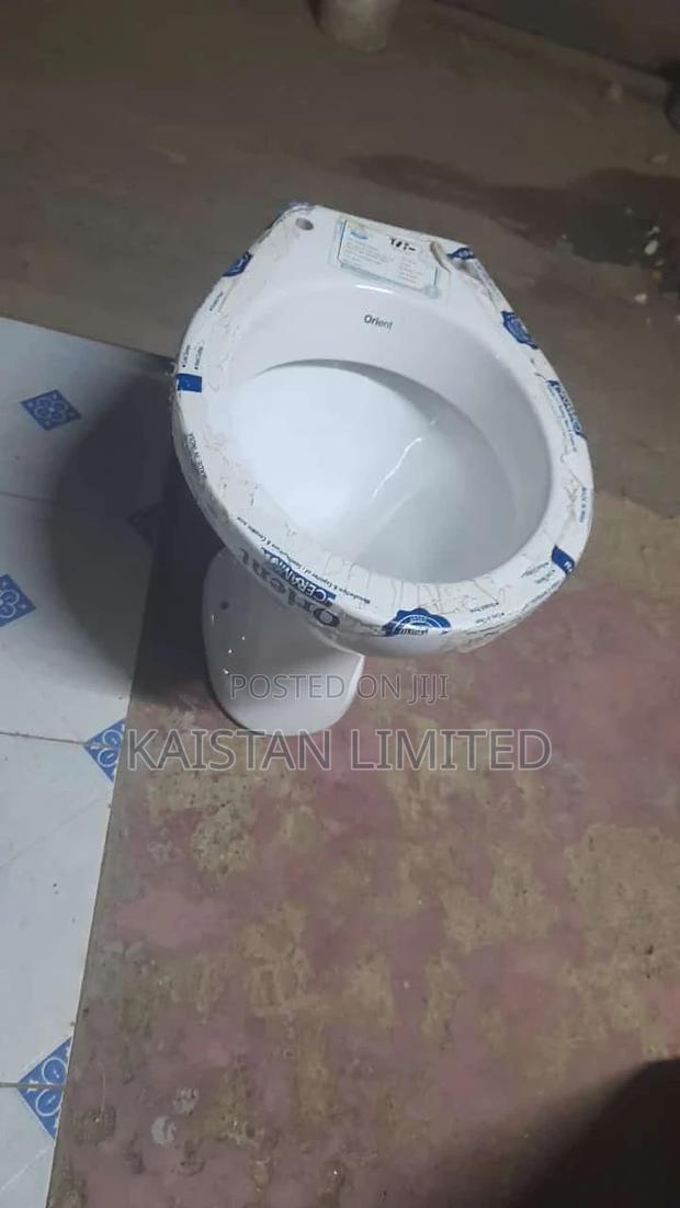 P Trap Toilets - main view