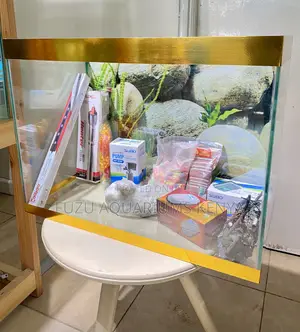 The Ideal Fish Tank for Work or Home-Fuzu Aquariums Via