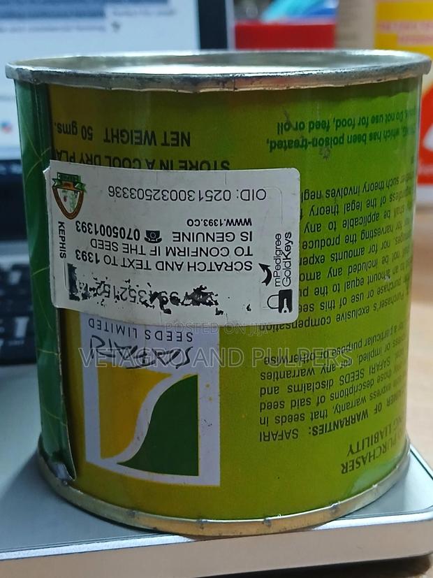 Squash Dark Green Zuchini - thumbnail 3