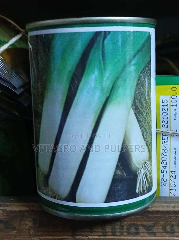 Leek Large Long Summer 2 - thumbnail 3