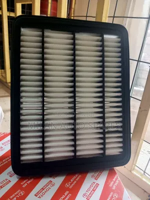 Toyota Lc 150 Series Genuine Air Cleaner