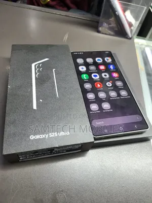 Samsung Galaxy S25 Ultra 256 GB Gray