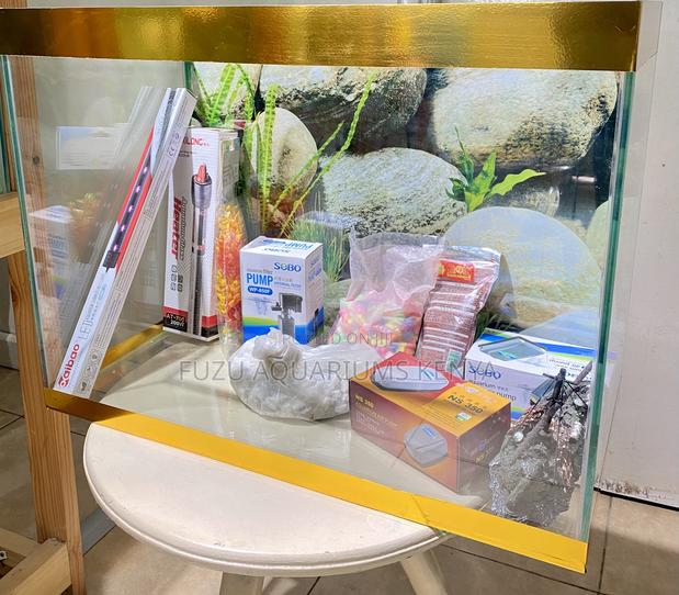 Nairobi’S Best 2ft Aquarium Delivered to You