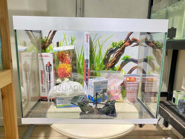 Upgrade Your Space With a Colorful Aquarium - main view