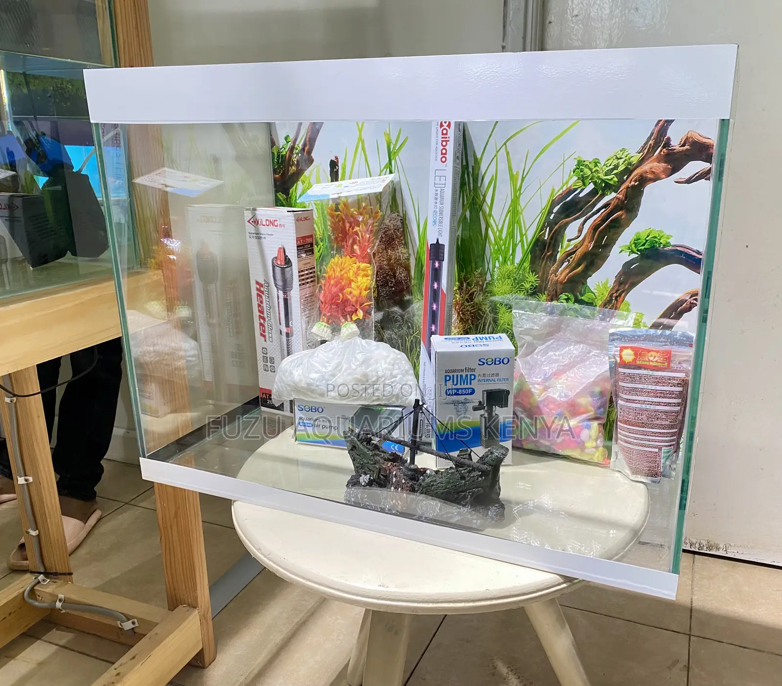 A Compact Tank With Big Impact(Aquarium Dream)