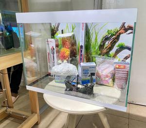 A Compact Tank With Big Impact(Aquarium Dream) - thumbnail 2