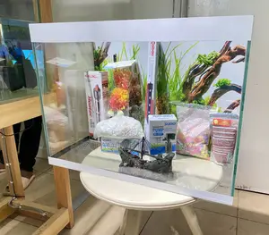 A Compact Tank With Big Impact(Aquarium Dream)