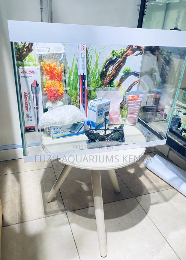 Make Your Interior Pop With a Live Aquarium - main view