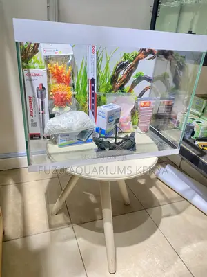 Create a Living Focal Point in Any Space With Aquarium