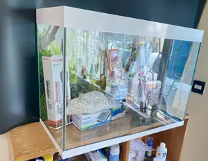 Turn Boring Corners Into Beautiful Aquascapes