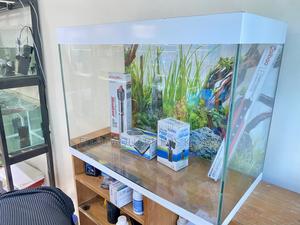Nairobi’S Most Loved Aquarium Now Available - thumbnail 2