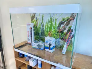 Aquarium Goals? This 2ft Tank Has You Covered