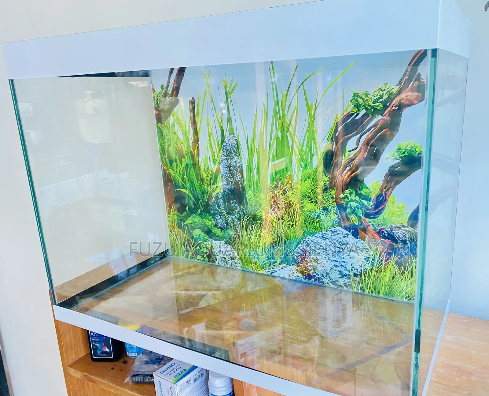 Aquarium Dreams Come True – Delivered From Nairobi