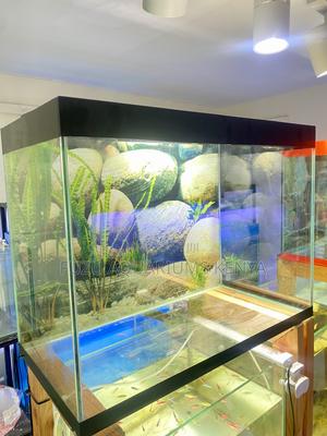 Aesthetic Aquarium Setup for Any Room - thumbnail 2