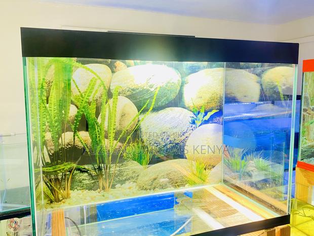 Bring Life Home With This Elegant Aquarium - main view