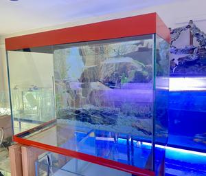 Aquarium Vibes – Your Home Just Got Cooler - thumbnail 2