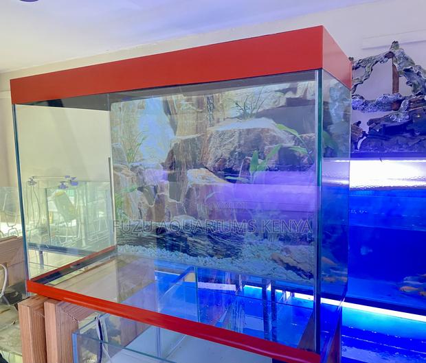 Aquarium Vibes – Your Home Just Got Cooler - main view