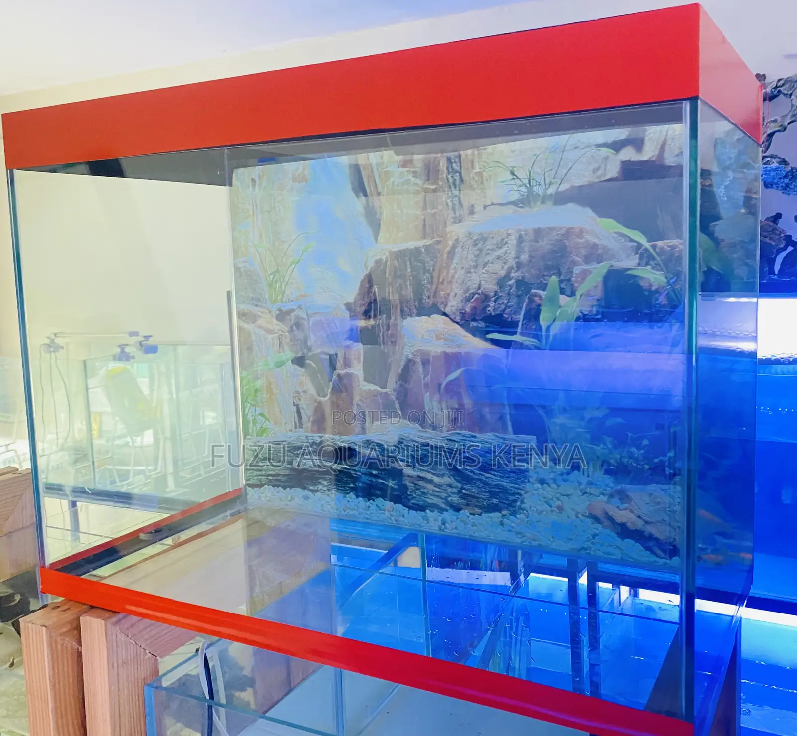 Aquarium Elegance in a Compact Design