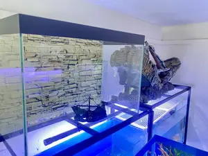 Small Aquarium, Big Style