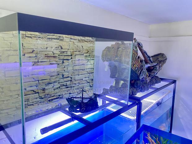 Small Aquarium, Big Style - main view