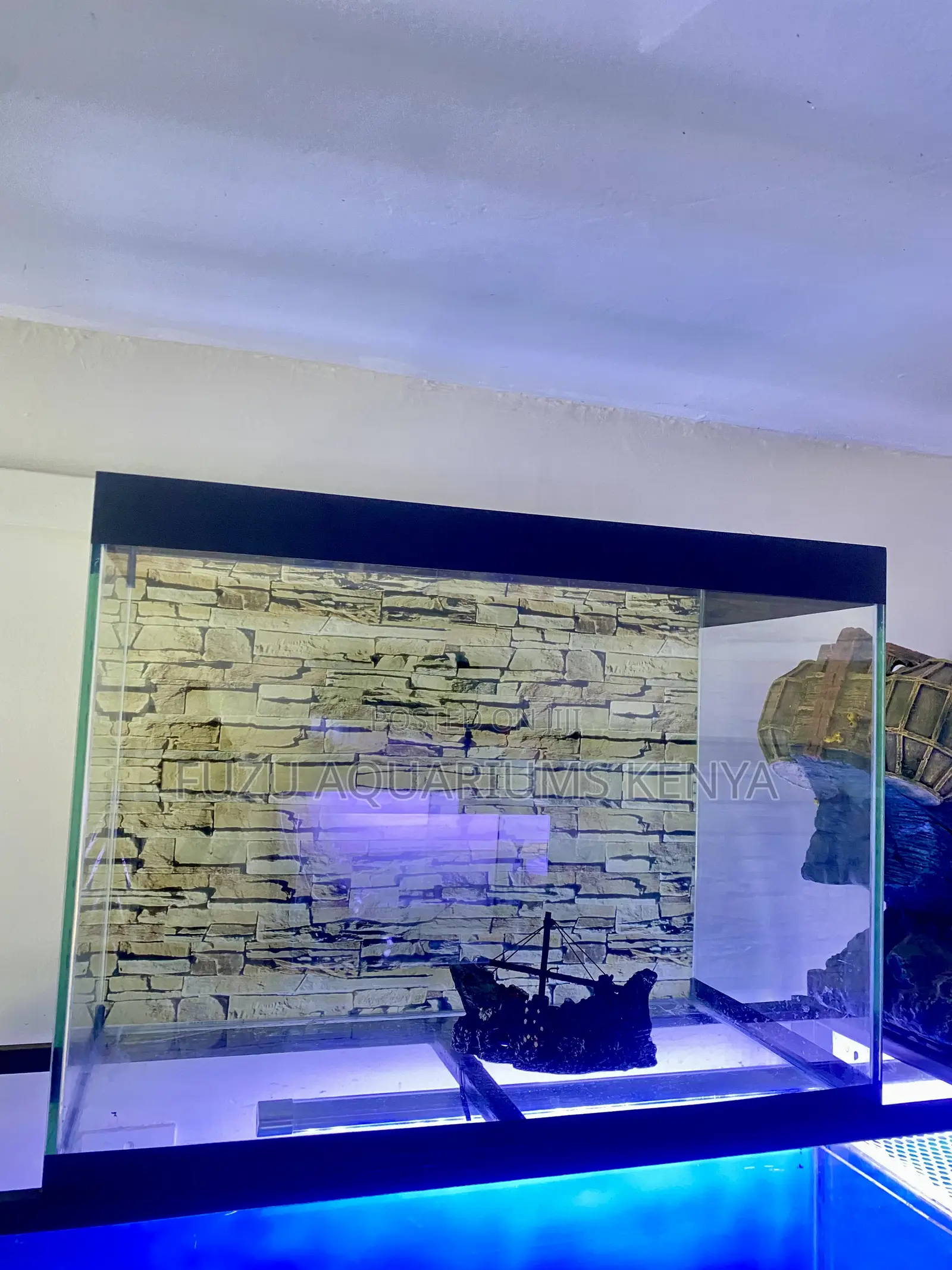 The Aquarium You Didn’T Know You Needed