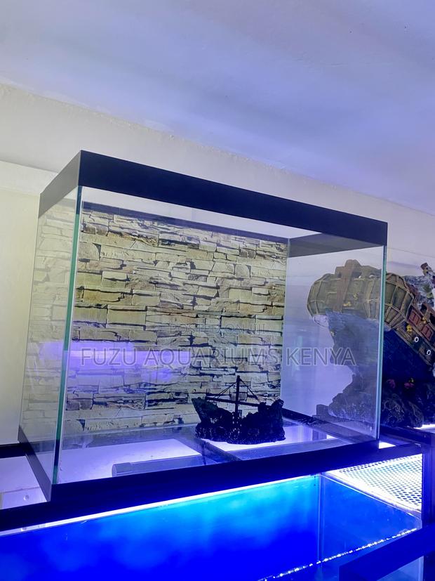 Your Aquarium Journey Starts Here - main view