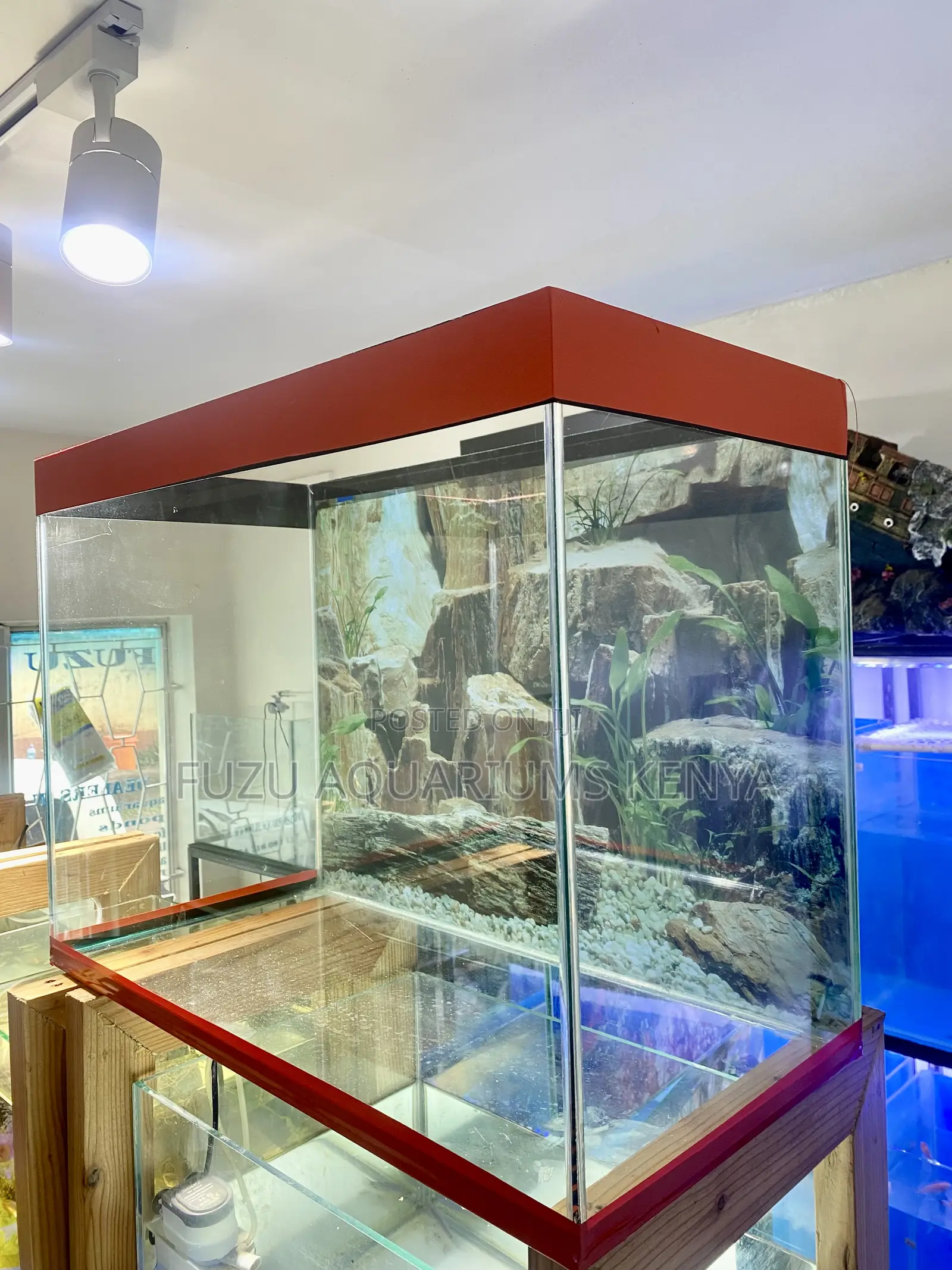 Affordable Aquarium Luxury for Every Home