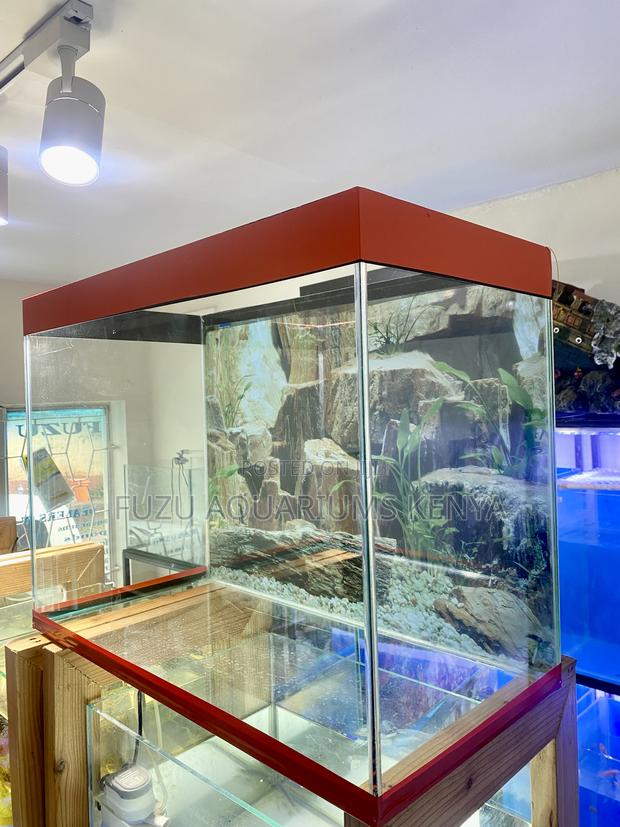 Affordable Aquarium Luxury for Every Home - main view