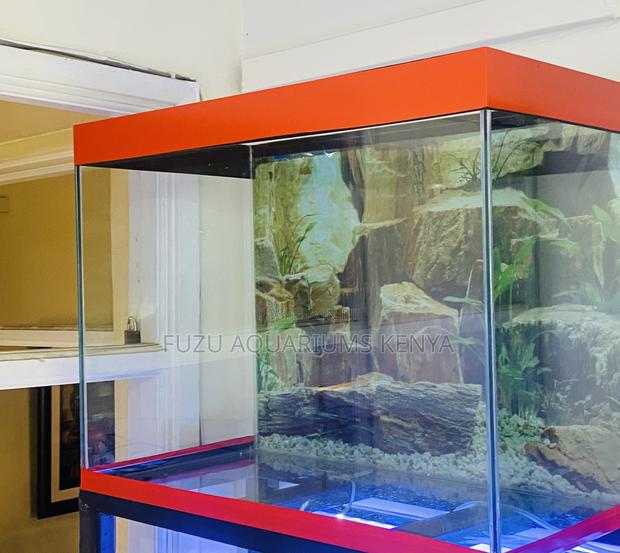 Make Your Living Space Pop With an Aquarium - main view