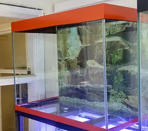 Aquarium Décor That Never Goes Out of Style
