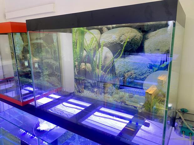 Aquarium Experience at Its Finest - main view