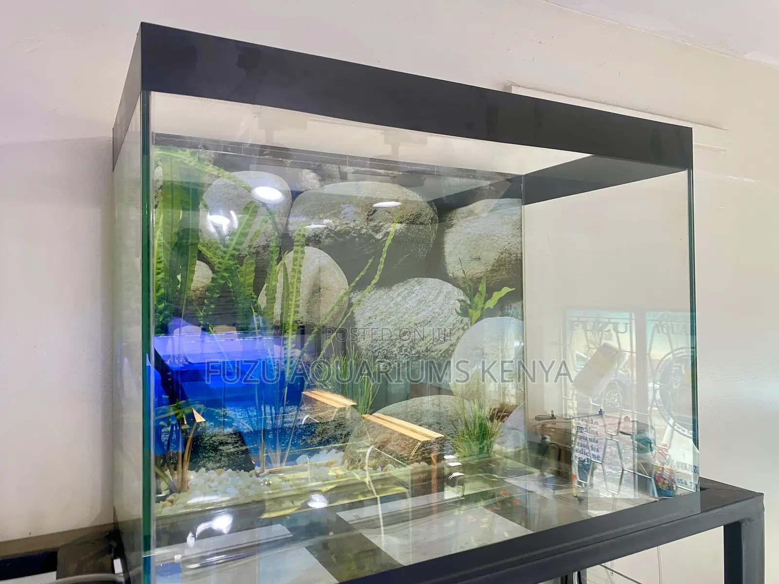 Stunning Aquarium Setup – Delivered in Nairobi